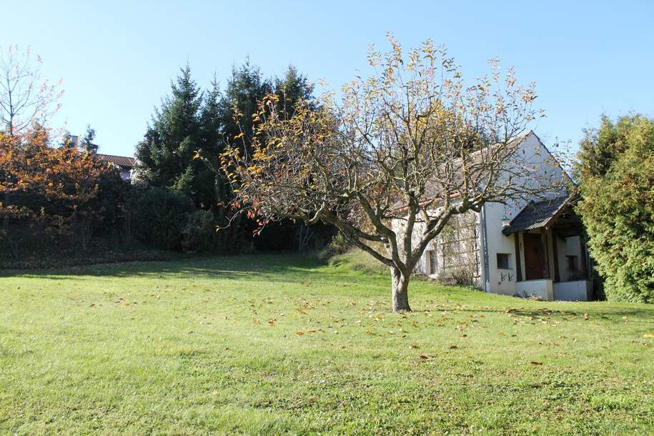 "Baugrund in Sackgasse!", Grund und Boden-kauf, 219.000,€, 2115 Korneuburg