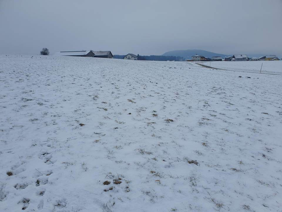 Landwirtschaftlicher Nutzgrund ca. 2,5 ha