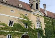 WOHNEN IM SCHLOSS mit idyllischem Parkblick, einem Pferdeparadies und traumhafter Umgebung