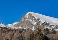 ALM-CHALET 1 - Freizeitwohnsitz in Toplage