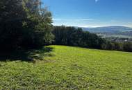 "IN KAUFABWICKLUNG!" GRÜNLAND IN TULBING