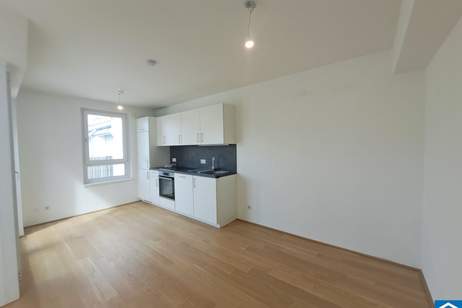 1-Zimmer Wohnung mit sonniger Dachterrasse!, Wohnung-miete, 675,77,€, 1100 Wien 10., Favoriten