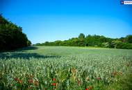 Provisionsfrei! Klein wohnen, groß genießen - Ihr Zuhause mit Riesenterrasse! Early Bird nutzen! Ruhelage + 2 Zimmer + Große Terrasse + Hochwertige Ausstattung + Ideale Infrastruktur + Garage + Ein neues Lebebsgefühl!