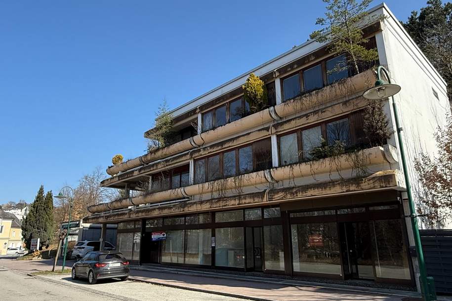 Wohn- &amp; Geschäftshaus mit Kurparkblick im Zentrum von Bad Tatzmannsdorf, Haus-kauf, 694.000,€, 7431 Oberwart