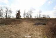 Großzügiges Grundstück mit Entwicklungspotenzial – ideal für Eigenheim &amp; Bauträger“