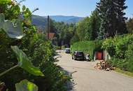 HOCHWASSERSICHER MIT GARTENHÜTTE UND WEITBLICK