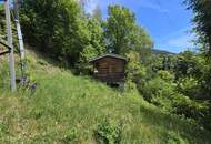 Sonniges Baugrundstück + Waldfläche Natur. Ruhe. Freiheit. – Ihr Grundstück in Untertweng!