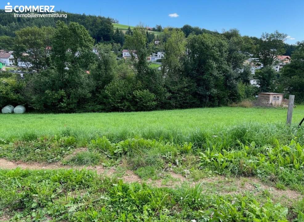 "Herrlicher Baugrund"