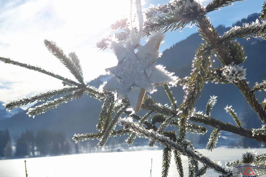 Traumhafte Alleinlage!, Haus-kauf, 4690 Vöcklabruck