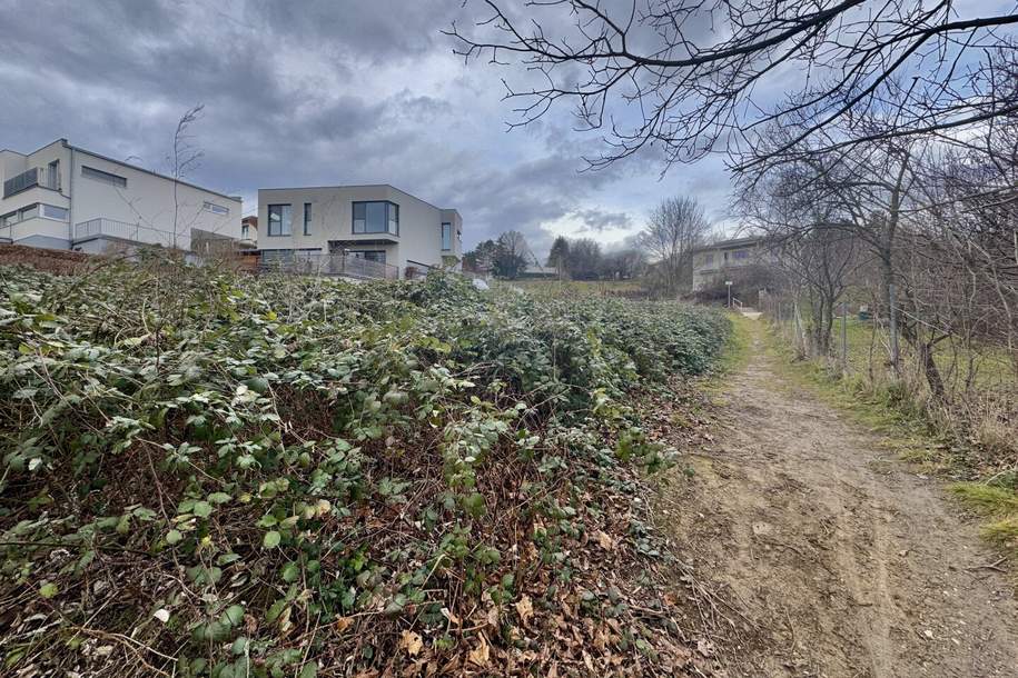 BAUGRUNDSTÜCK AM ÖLBERG KLOSTERNEUBURG - TEILBAR AUF 2 GRUNDSTÜCKE, Grund und Boden-kauf, 1.495.000,€, 3400 Tulln