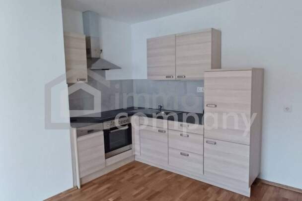 Vermietete 2-Zimmer-Eigentumswohnung mit Parkplatz und Kellerabteil, Wohnung-kauf, 120.000,€, 2821 Wiener Neustadt(Land)