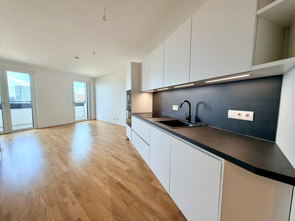 ERSTBEZUG am Hauptbahnhof: EXKLUSIVE DACHGESCHOSSWOHNUNG mit Dachgarten und wunderschönem Wienblick!