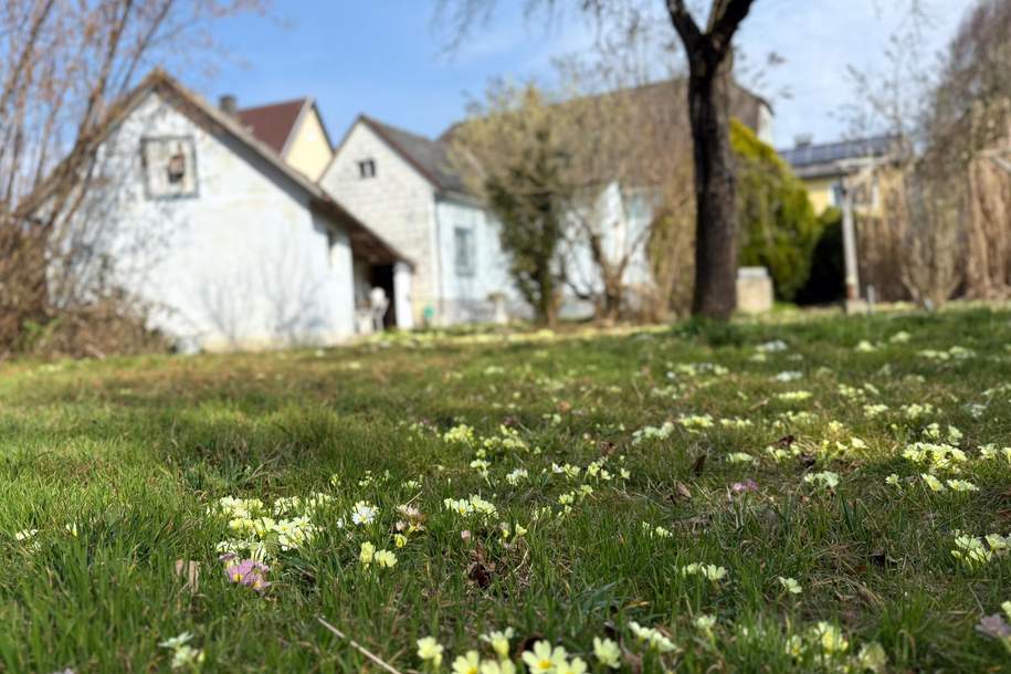 Bürgerliches Einfamilienhaus mit viel Platz, liebenswerten Garten &amp; Ausblick gen Maria Taferl!, Haus-kauf, 249.000,€, 3375 Melk