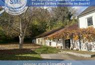 Romantische Kellerjuwele mit sonniger Terrasse und Naturgarten!