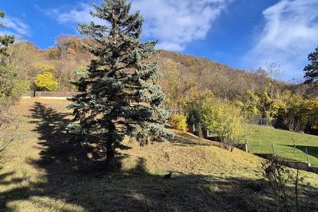 Renovierungsbedürftiges Einfamilienhaus auf 2.391 m² Eigengrund, Haus-kauf, 1.298.000,€, 2103 Korneuburg