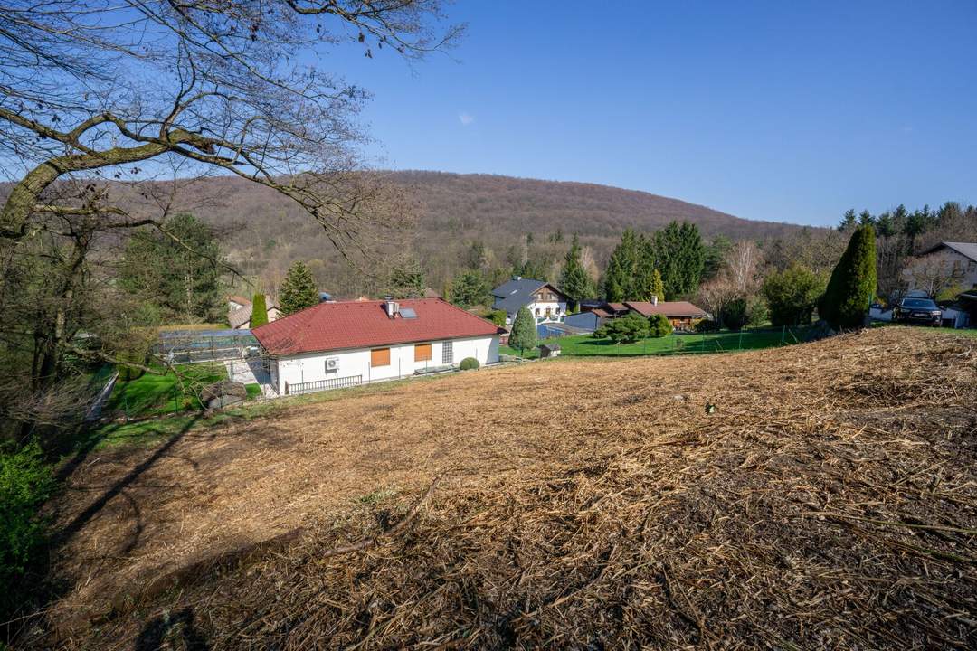 Baugrund am Ende der Sackgasse – Natur & perfekte Nähe zu Wien!