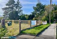 Rar aber wahr! Eigengrund in Langenzersdorf