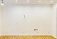 Charmantes Apartment - Wohnen mit Charakter – im Herzen von Leopoldstadt