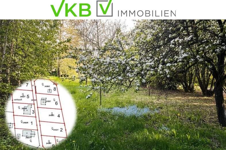 Großzügiges Grundstück nähe Gallneukirchen! - Gemeinde Alberndorf in der Riedmark (GST 2443/1), Grund und Boden-kauf, 230.000,€, 4211 Urfahr-Umgebung