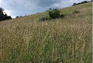 Traumhaftes Grundstück nahe Neulengbach/Altlengbach