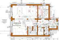 Prachtexemplar an der unteren alten Donau !