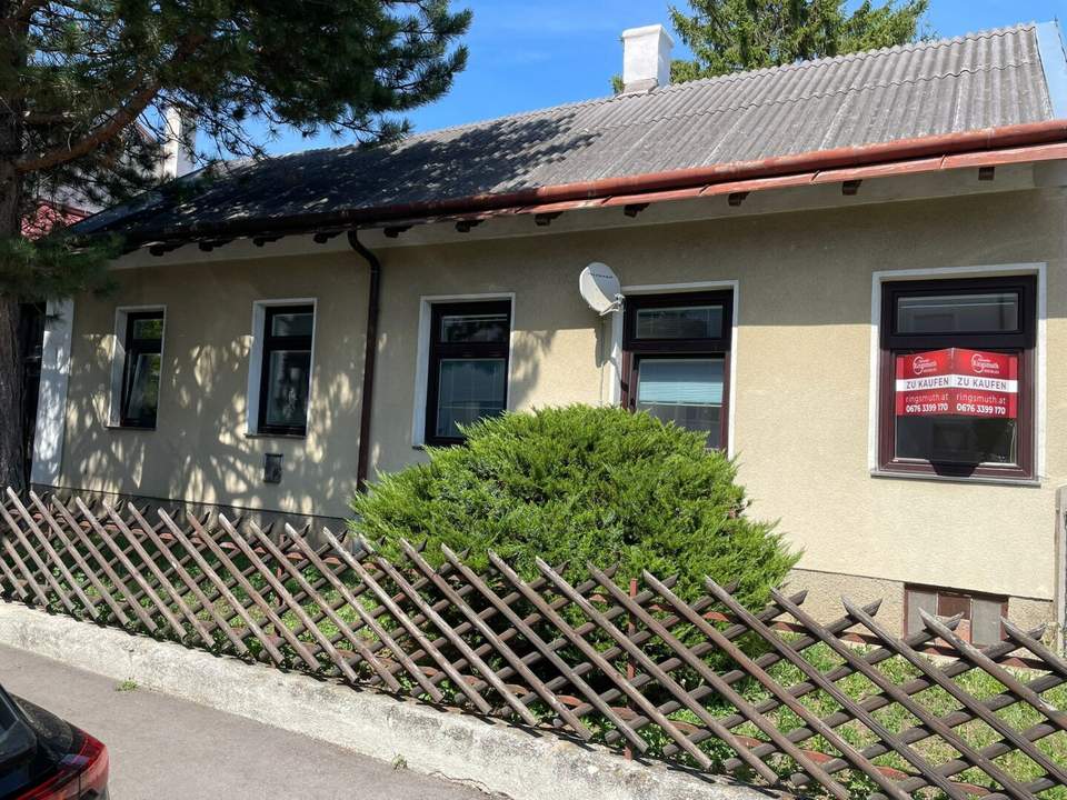 Renovierungsbedürftige EG-Wohnung in Mödling mit kleinem Gartenanteil. Ideal für Hundebesitzer!