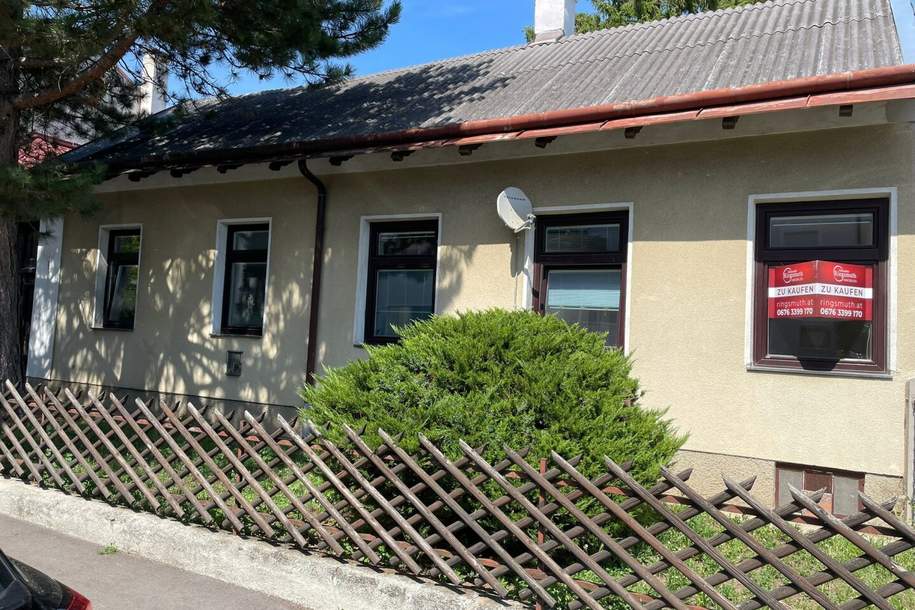 Renovierungsbedürftige EG-Wohnung in Mödling mit kleinem Gartenanteil. Ideal für Hundebesitzer!, Wohnung-kauf, 199.000,€, 2340 Mödling