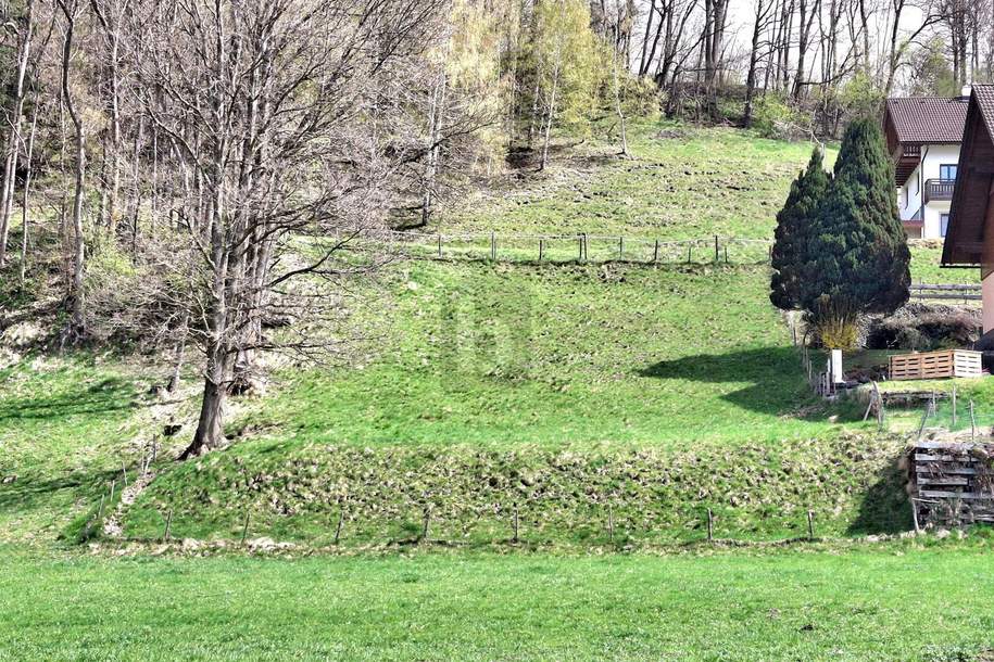 NATURNAHES GRUNDSTÜCK MIT PANORAMABLICK, Grund und Boden-kauf, 189.000,€, 8960 Liezen