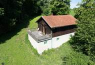 Zum Verkauf steht ein zusammenhängendes Landwirtschafts- und Waldgrundstück mit Holzhaus