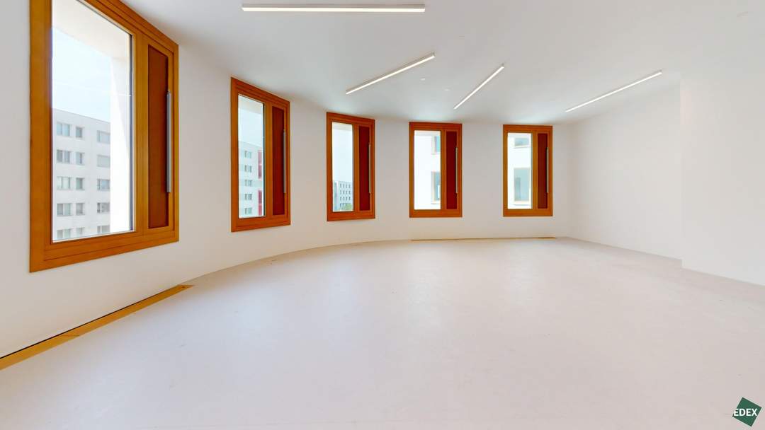 ROBIN Seestadt - Innovative Büroflächen in Wiens modernstem Stadtquartier