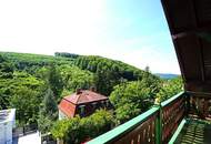 Traditionelles Wienerwaldhaus in Aussichtslage auf der Sophienalpe