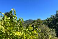 Exklusive Lage mit Dambergpanorama