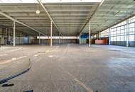 GIGANTISCH gesucht? HIER RICHTIG