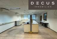 + + + U6-CENTER + + + Lager/Werkstatt/Produktion und Büro + + +