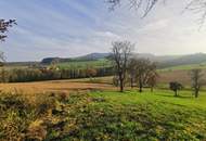 Vierkanthof in Alleinlage mit ca. 5 ha landwirtschaftliche Nutzfläche