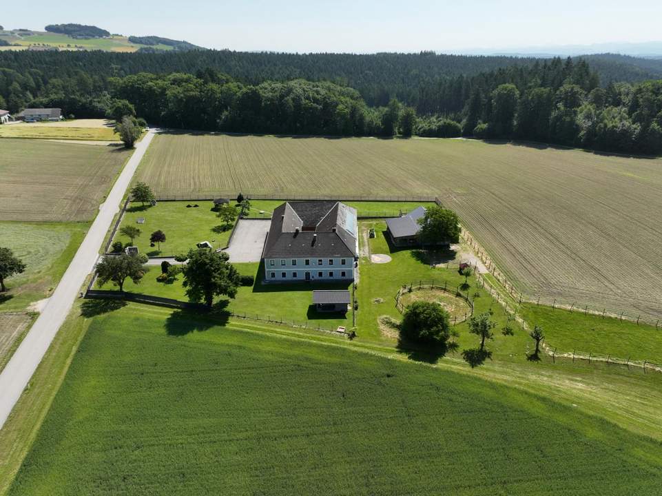 Neu adaptierter Vierkanter in Alleinlage