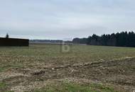 RUHIGE LAGE - ZUSÄTZLICHE FLÄCHEN MÖGLICH