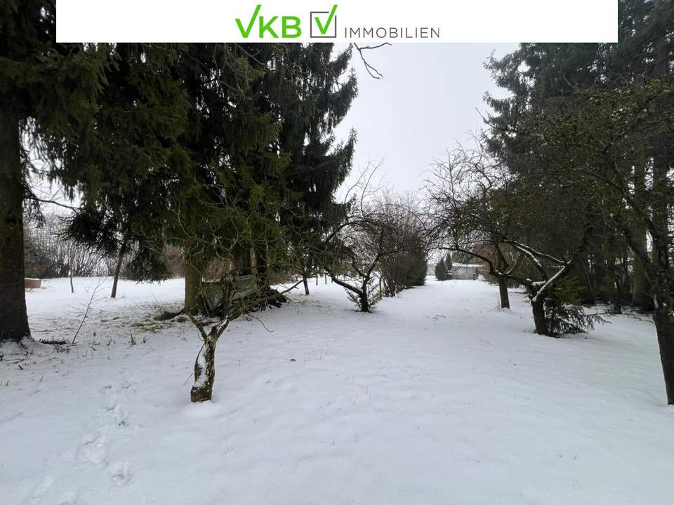 Platzreiches Grundstück in Spattendorf - Gemeinde Alberndorf in der Riedmark