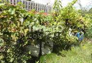 HORN - ALTENBURG GROßES HAUS, GROßER GARTEN, KLEINER PREIS