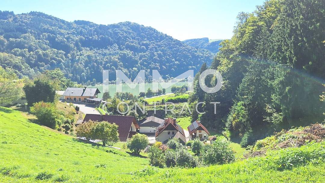 Baugrund 1.177 m² mit Donaublick - Südhang - mit angrenzenden kleinen Grünland 255 m² - St. Nikola