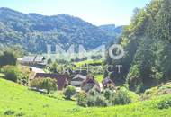 Baugrund 1.177 m² mit Donaublick - Südhang - mit angrenzenden kleinen Grünland 255 m² - St. Nikola