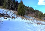 Natur, Ruhe und Aussicht – 2400 m² Baugrund am Semmering