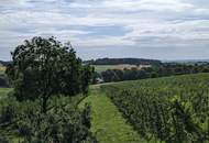 2,5 ha Landwirtschaftlicher Grund in sehr guter Lage
