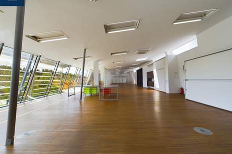 MIETE - TOLLE Bürofläche mit Grünblick - Großglobnitz bei ZWETTL, Gewerbeobjekt-miete, 2.742,72,€, 3910 Zwettl