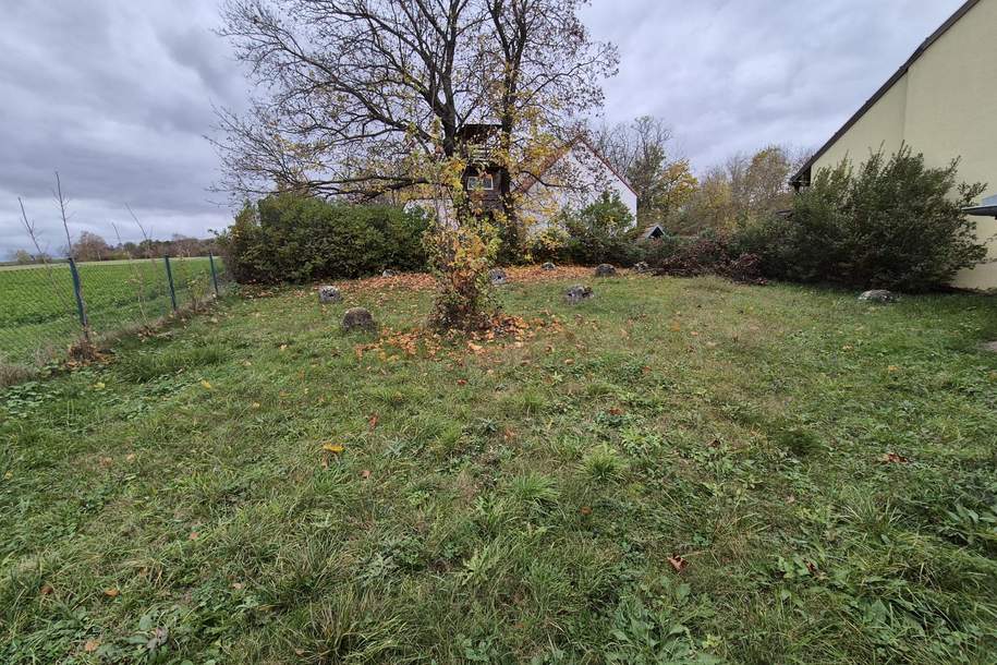 BAUGRUND - 388 m² - MIT 2 PRESSHÄUSERN - AUSBAUFÄHIG, Grund und Boden-kauf, 120.000,€, 2013 Hollabrunn