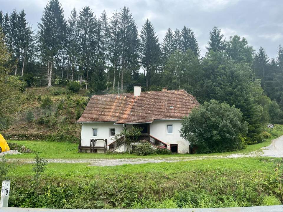 Uriges Bauernhaus in idyllischer Lage mit Wald und Wiesenflächen