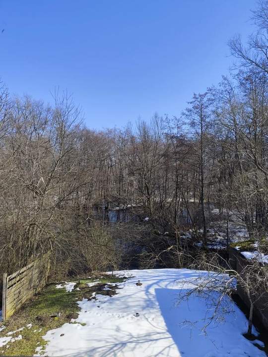 RUHIGER WOHNHIT IN IDYLLISCHER LAGE