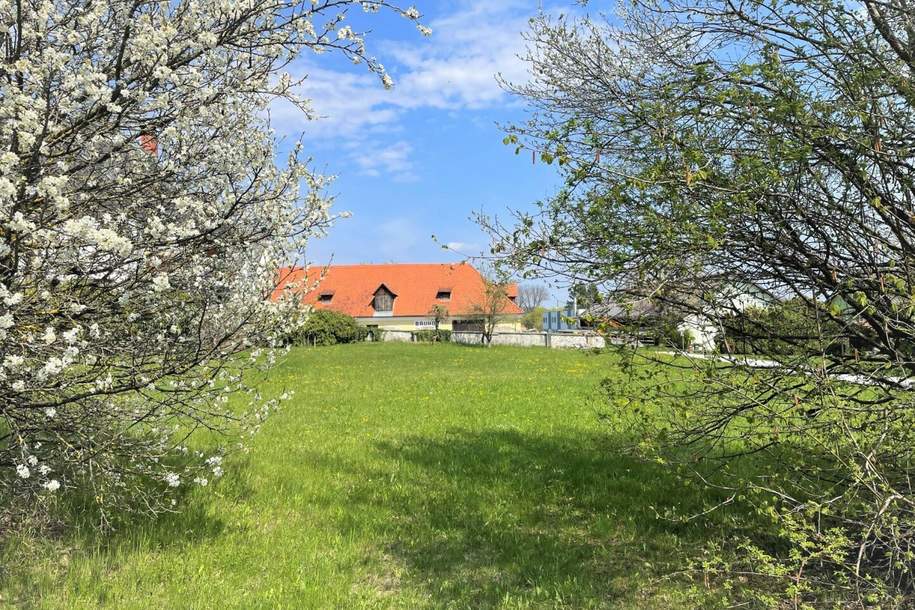 WALLFAHRTSORT MARIA LANKOWITZ - SONNIGER BAURECHTSGRUND, Grund und Boden-legalform.pacht, 108,33,€, 8591 Voitsberg