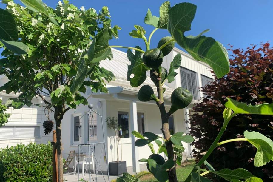 Luxusanwesen mit Wohlfühloasen, Haus-kauf, 1.600.000,€, 4813 Gmunden