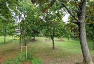 Klein, aber fein: Ordination / Büro / Praxis in Gersthof